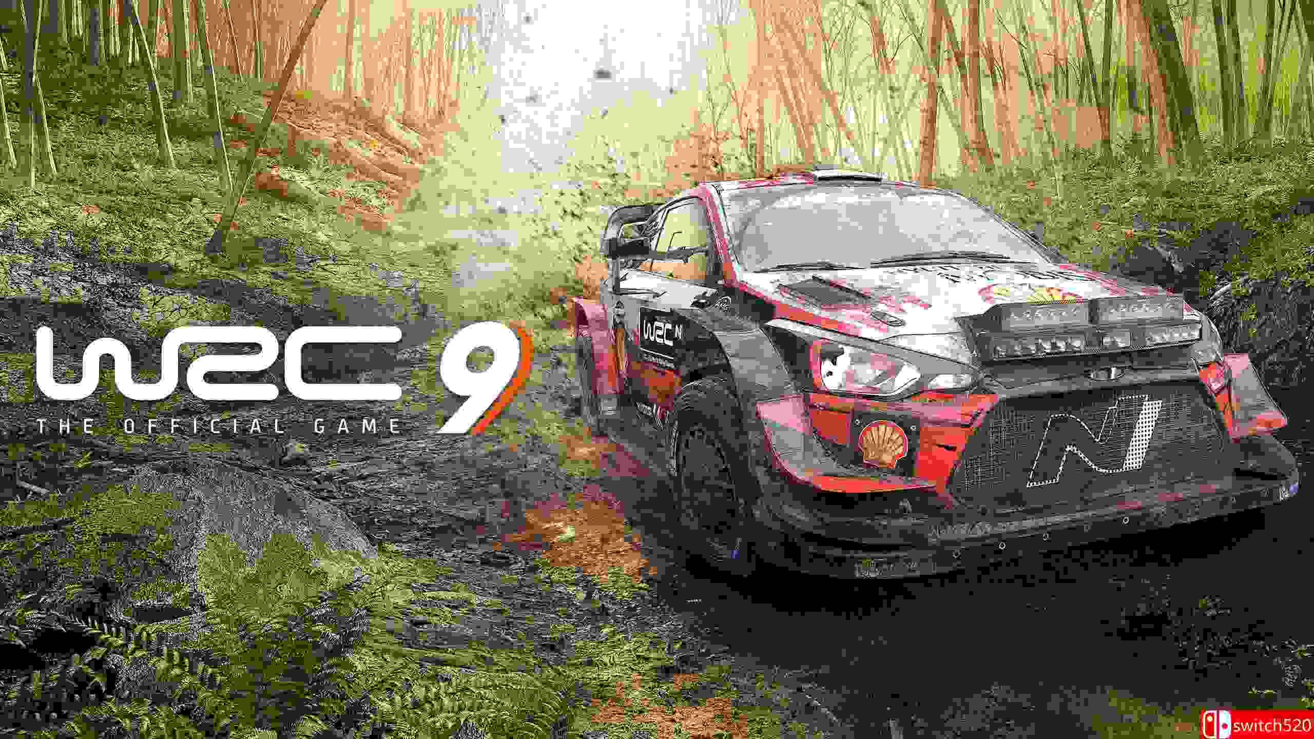 《世界汽车拉力锦标赛9（WRC 9 FIA World Rally Championship）》官方中文 CODEX镜像版[CN/EN]
