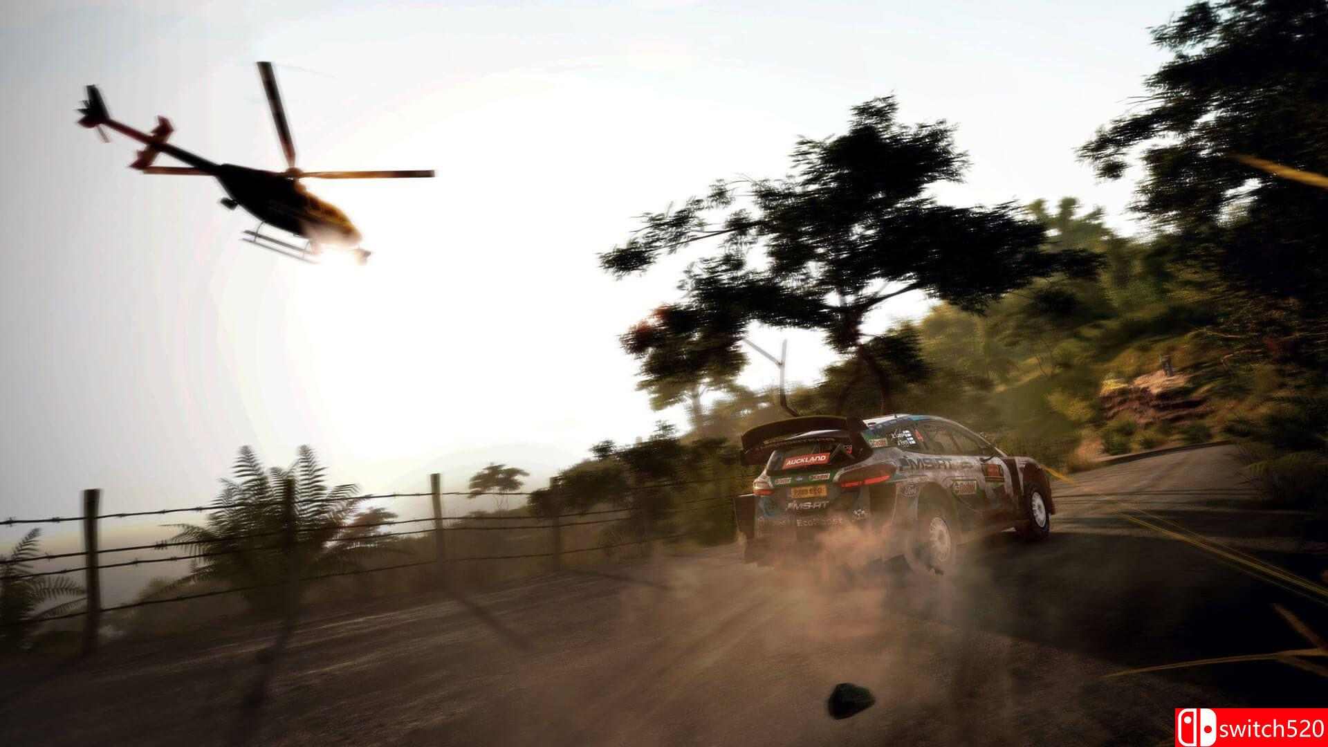 《世界汽车拉力锦标赛9（WRC 9 FIA World Rally Championship）》官方中文 CODEX镜像版[CN/EN]_1