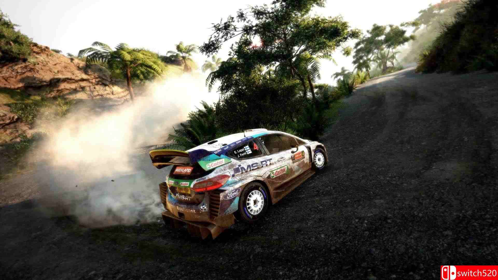 《世界汽车拉力锦标赛9（WRC 9 FIA World Rally Championship）》官方中文 CODEX镜像版[CN/EN]_2