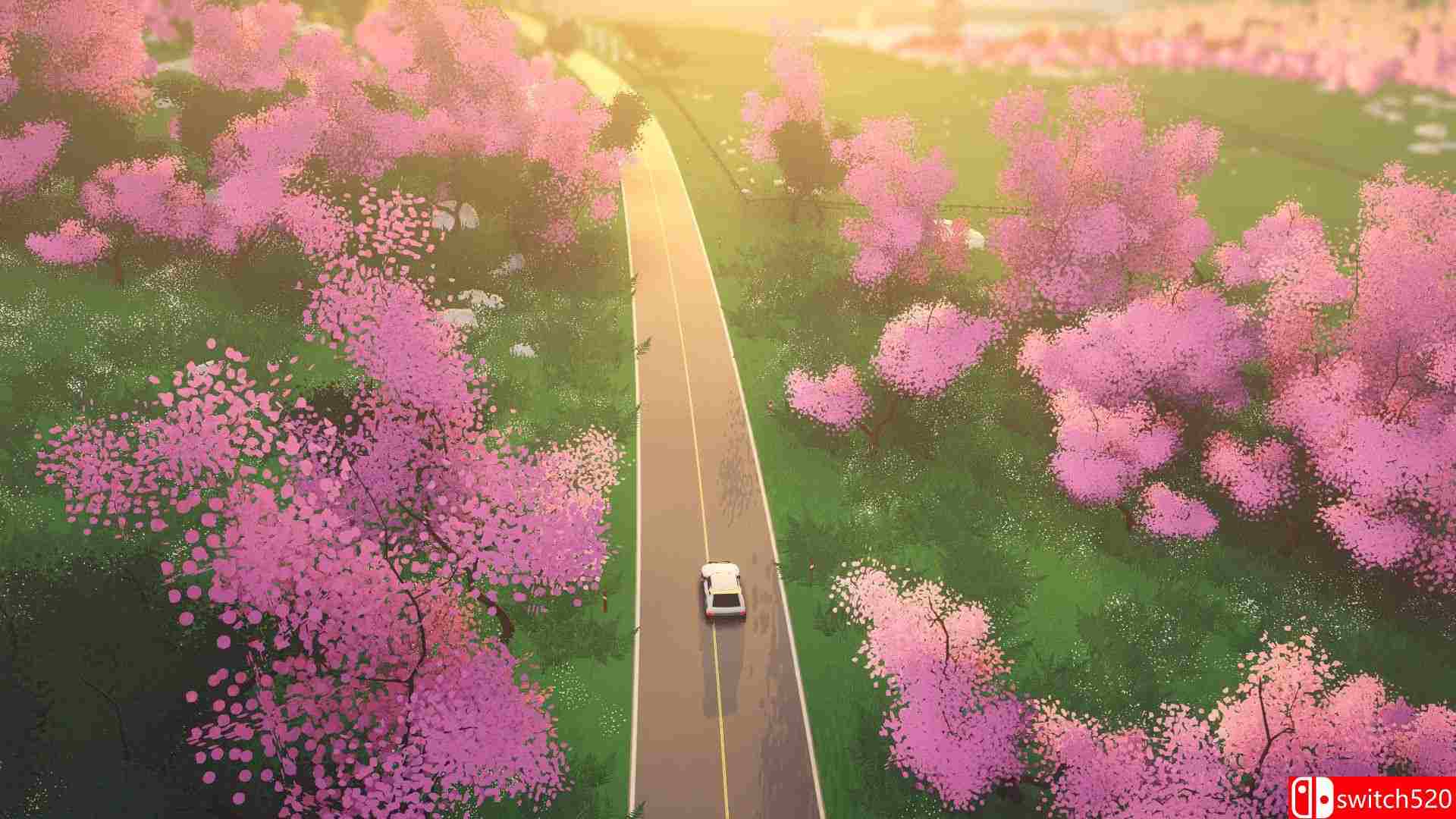 《拉力赛艺术（art of rally）》官方中文 v1.0.4 Razor1911镜像版[CN/EN/JP]_5