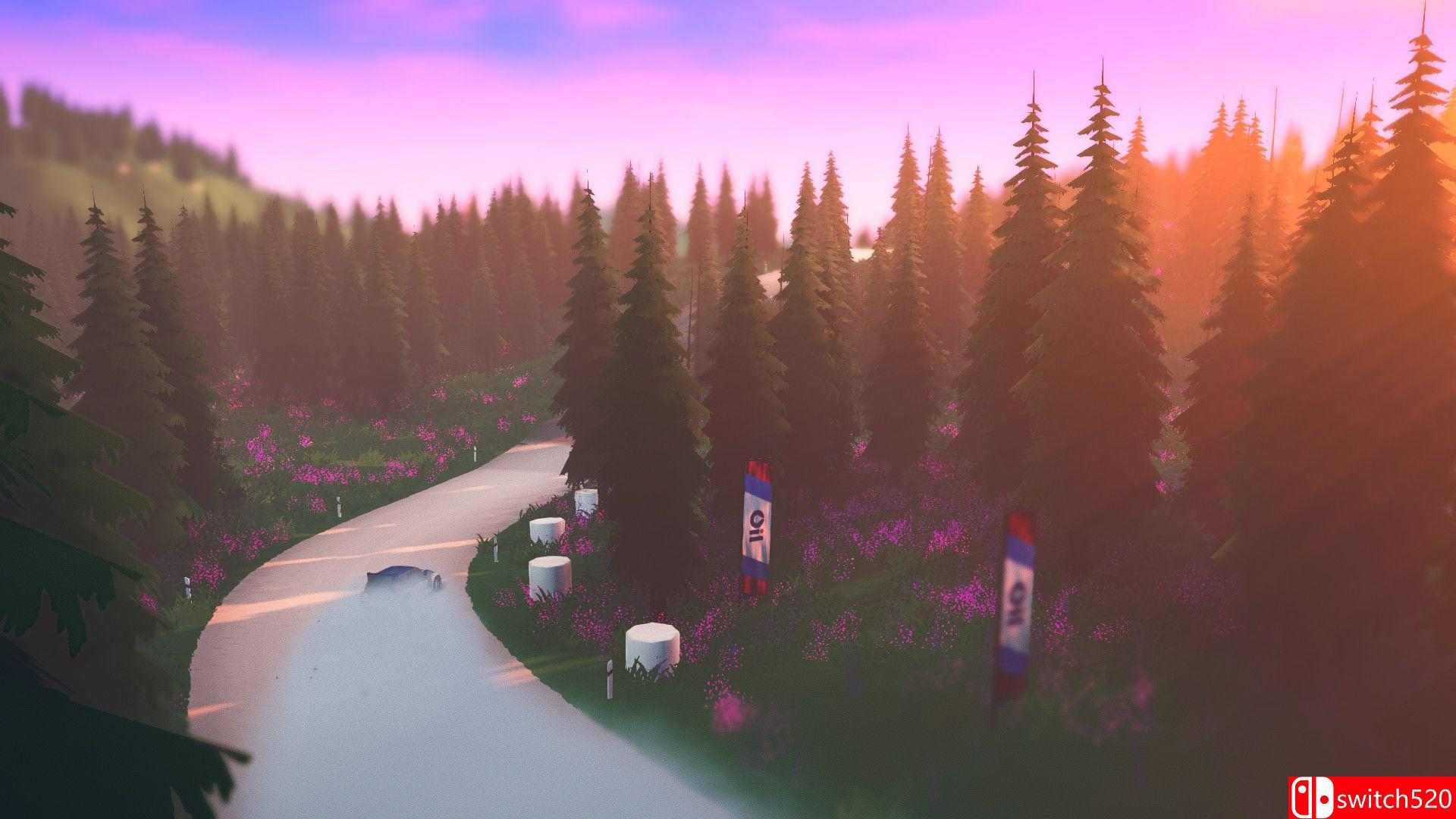 《拉力赛艺术（art of rally）》官方中文 v1.0.4 Razor1911镜像版[CN/EN/JP]_4