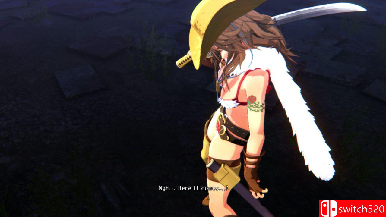 《御姐玫瑰：起源（Onee Chanbara ORIGIN）》官方中文 豪华版 DARKSiDERS镜像版[CN/EN/JP]_2