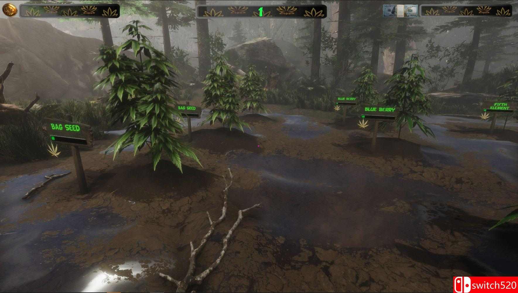 《大麻农场主（Cannabis Farmer Strain Master）》DARKSiDERS镜像版[EN]_1
