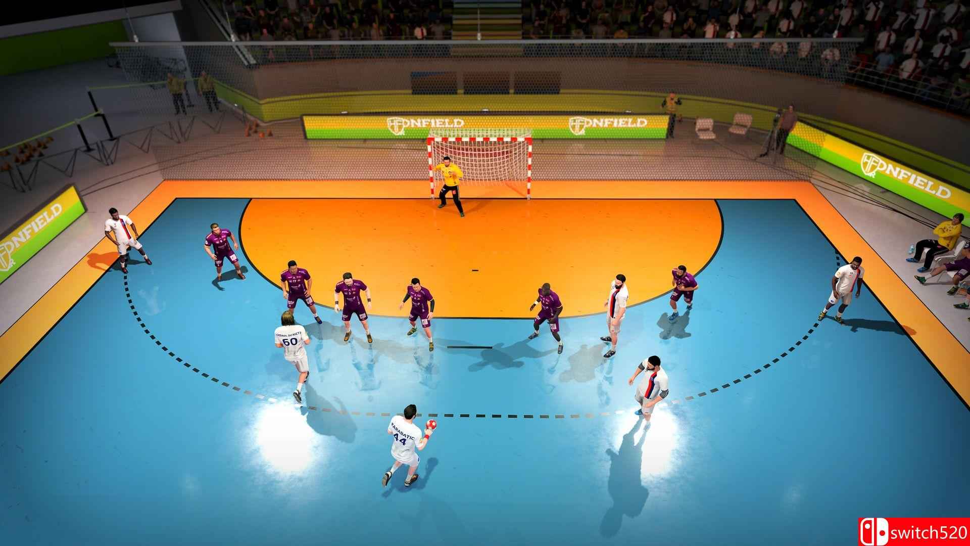 《手球21（Handball 21）》SKIDROW镜像版[EN]_2