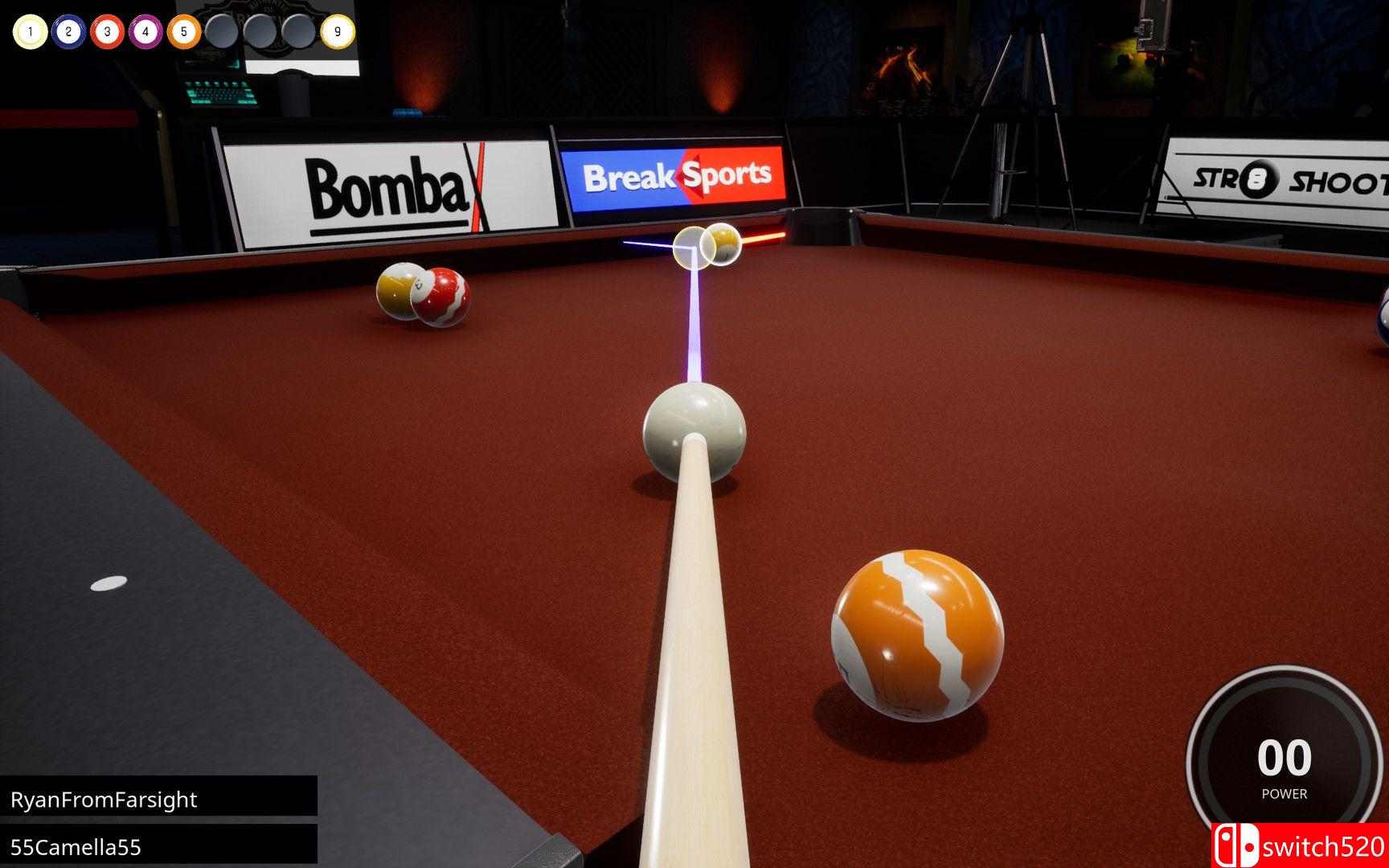 《Brunswick职业台球（Brunswick Pro Billiards）》SKIDROW镜像版[EN]_1