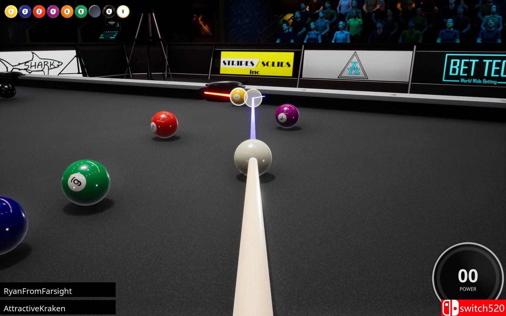 《Brunswick职业台球（Brunswick Pro Billiards）》SKIDROW镜像版[EN]_2
