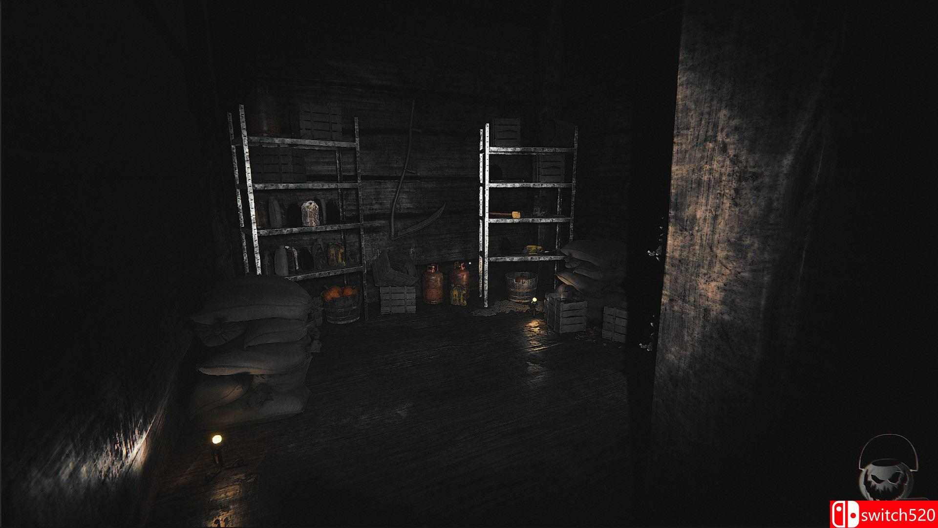 《恐怖球体（Horror Globes）》Build 5793059 Chronos硬盘版[EN]_3