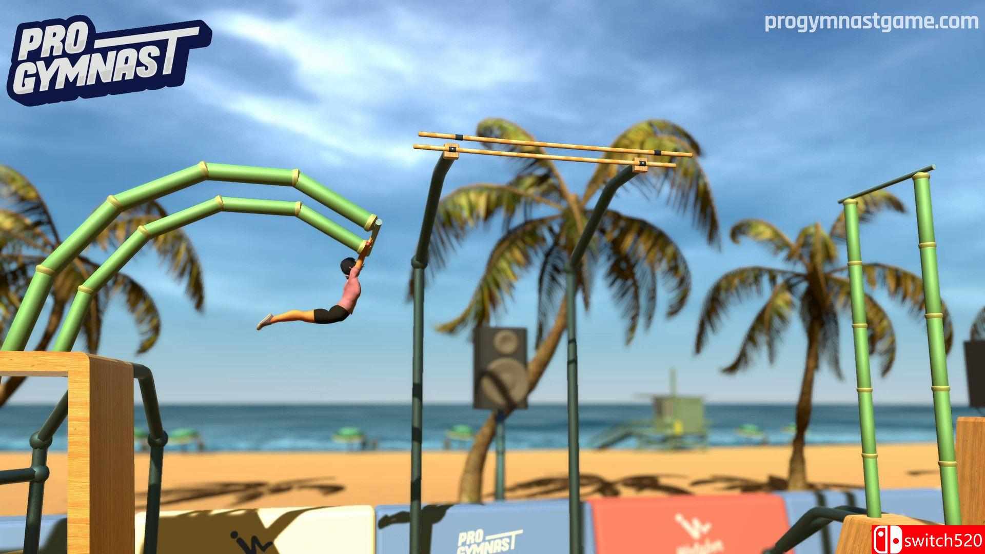 《职业体操运动员（Pro Gymnast）》官方中文 P2P硬盘版[CN/TW/EN/JP]_3