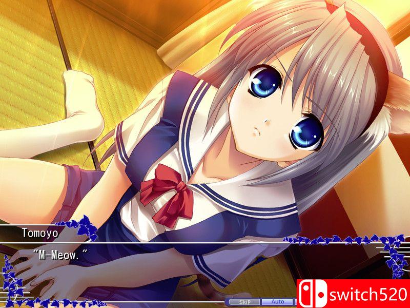 《智代后记：美丽的生活（Tomoyo After Wonderful Life）》B.3159213 Chronos硬盘版[EN]_1