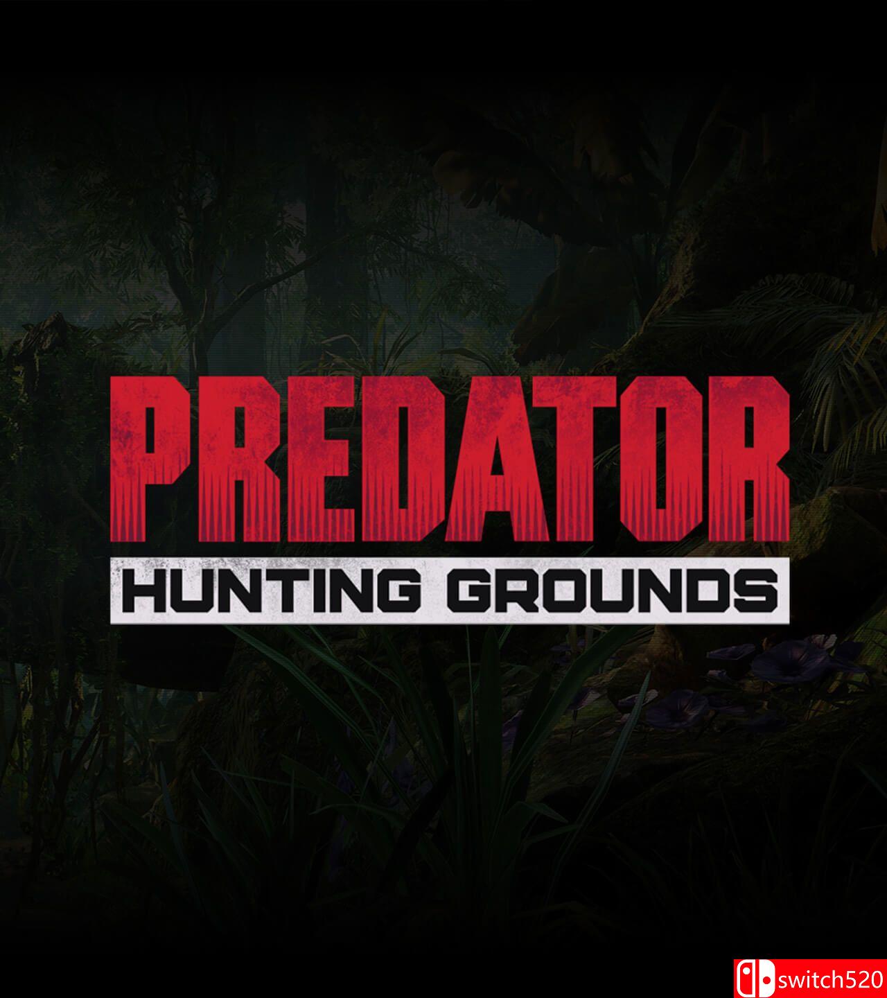 《铁血战士：狩猎场（Predator: Hunting Grounds）》官方中文 v2.12 0xdeadc0de硬盘版[TW/EN]