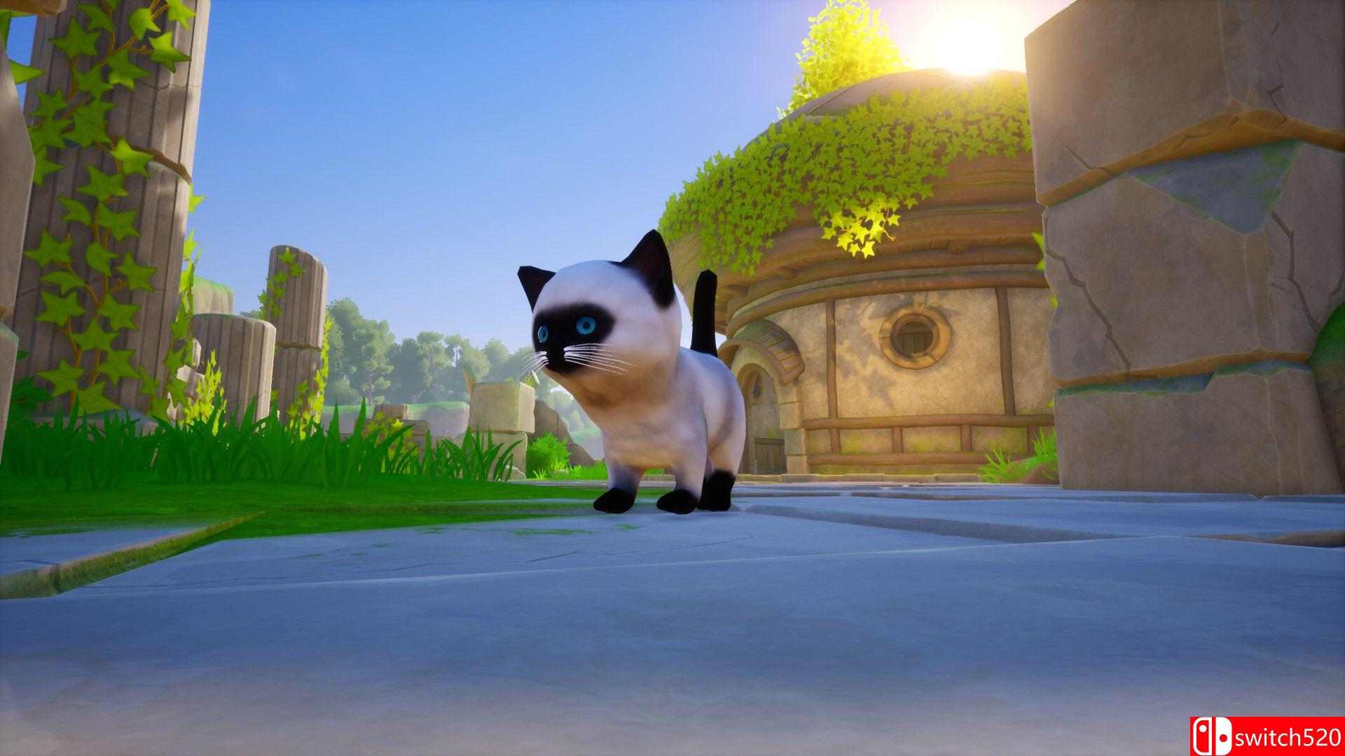 《猫快走！终极挑战（Cat Go! Ultimate Challenge）》v24.01.2021 Haoose硬盘版[CN/EN]_4