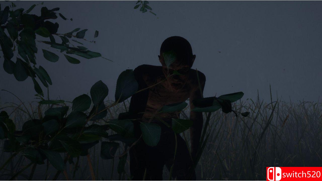 《黑暗中的士兵（Soldier in the darkness）》TiNYiSO镜像版[EN]_1