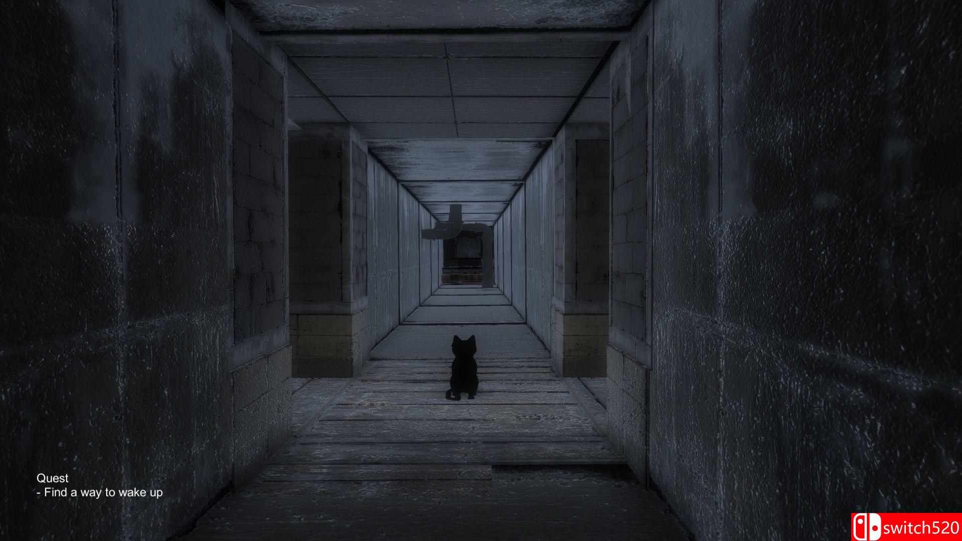 《黑猫（Black Cat）》Build 6205135 Chronos硬盘版[EN]_4