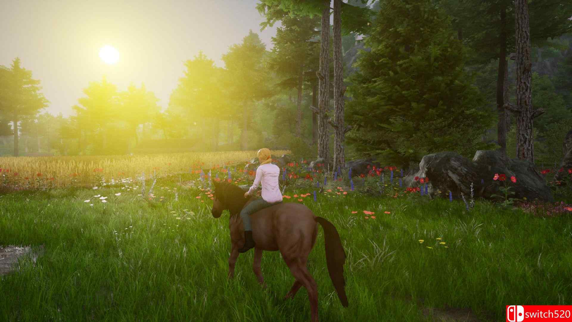 《骑马豪华版2（Horse Riding Deluxe 2）》TiNYiSO镜像版[EN]_2