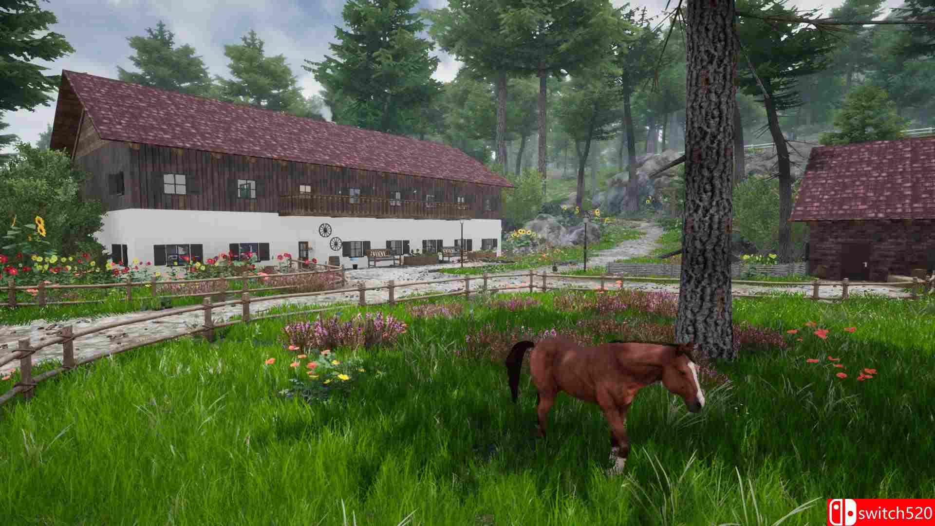《骑马豪华版2（Horse Riding Deluxe 2）》TiNYiSO镜像版[EN]_1
