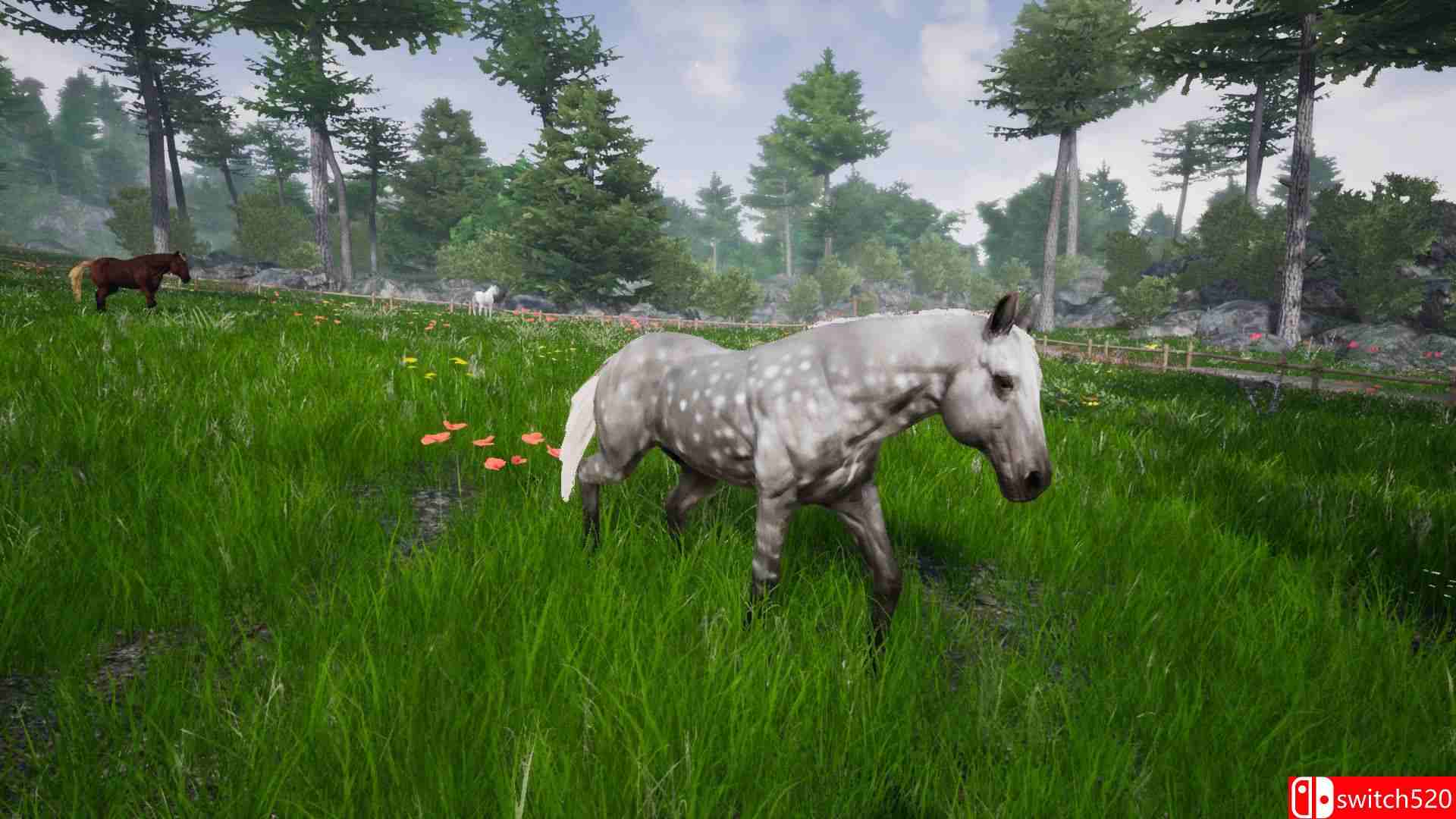 《骑马豪华版2（Horse Riding Deluxe 2）》TiNYiSO镜像版[EN]_3
