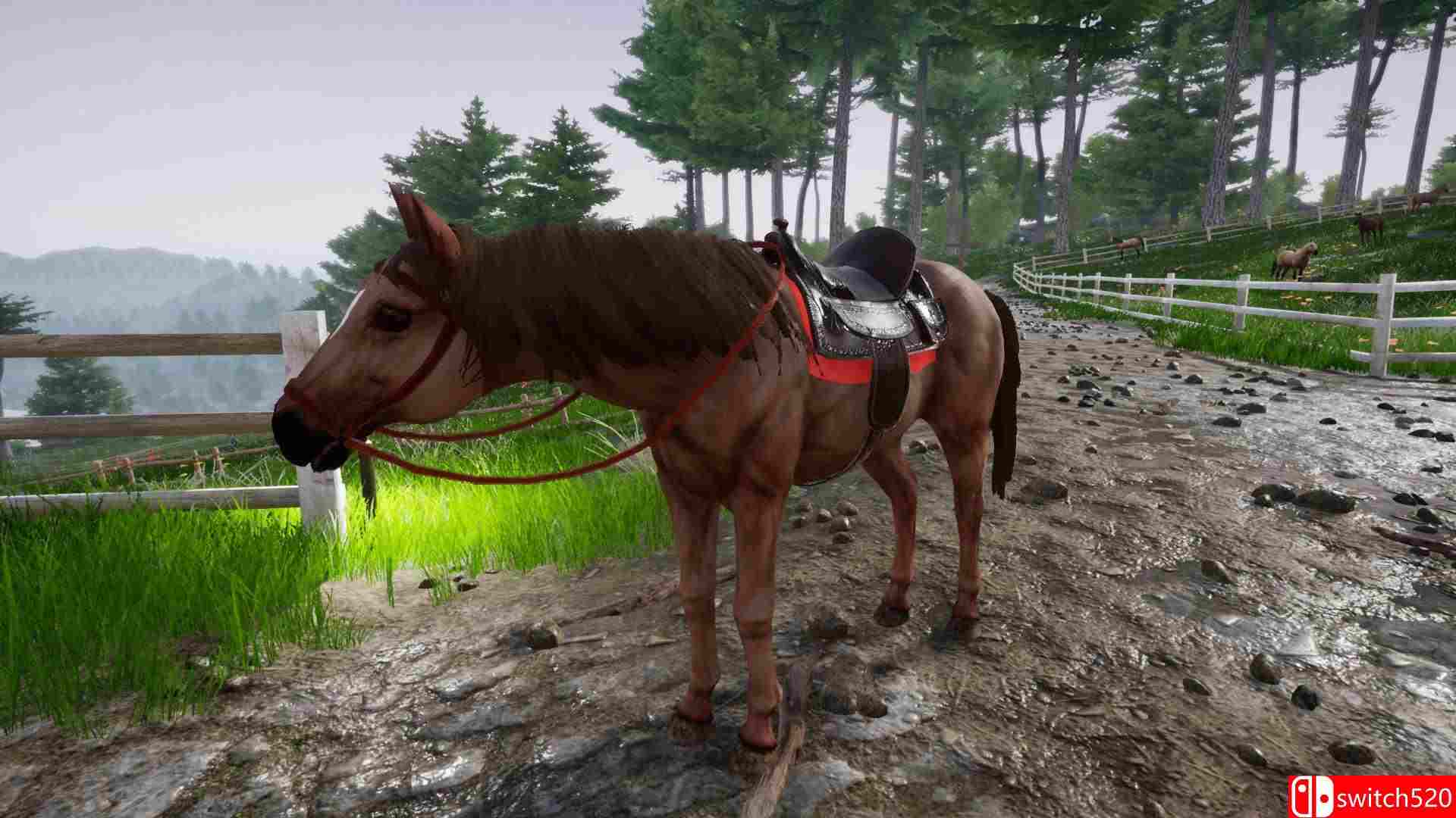 《骑马豪华版2（Horse Riding Deluxe 2）》TiNYiSO镜像版[EN]_4