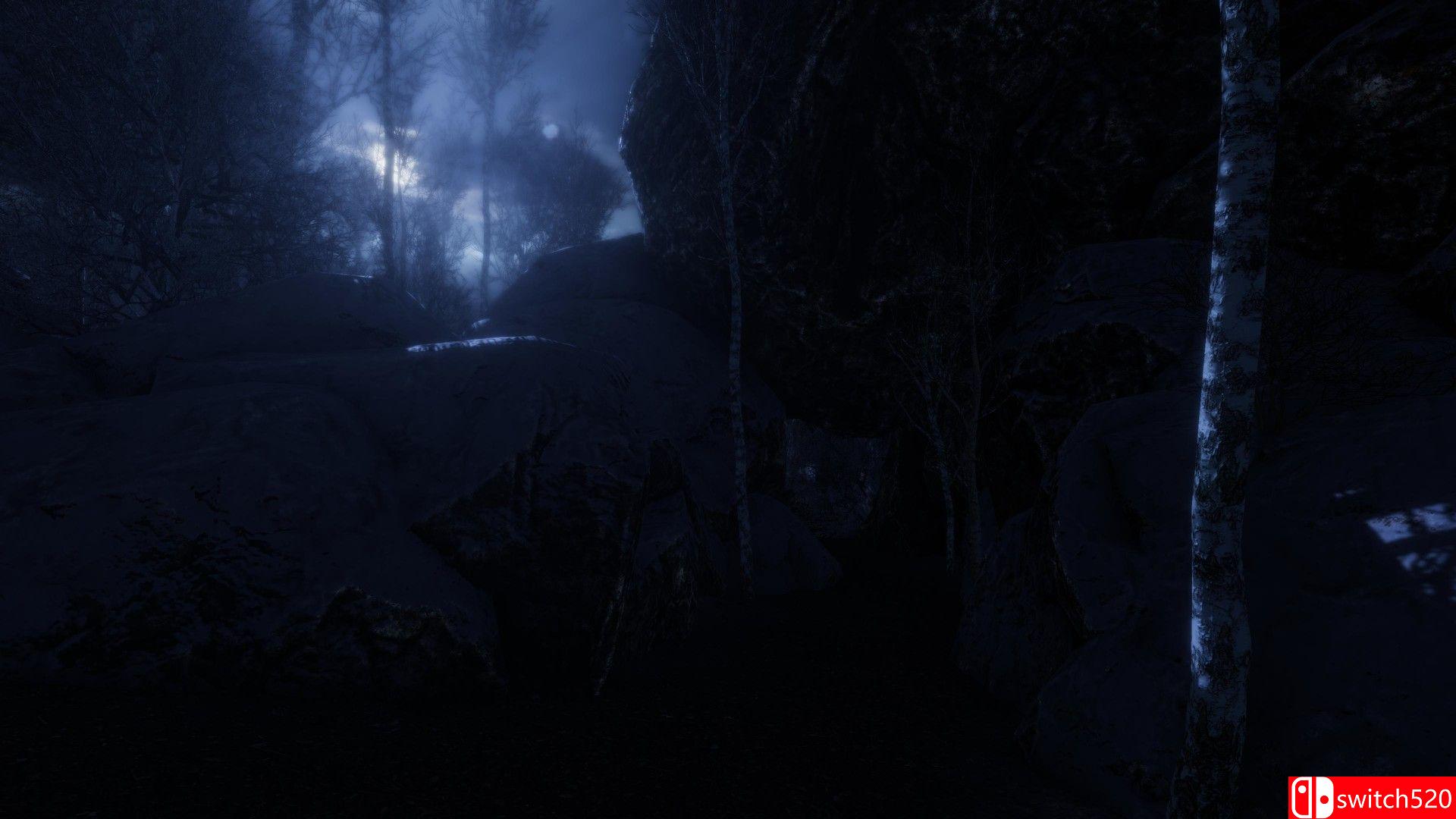 《遗忘之地（The Forgotten）》官方中文 TiNYiSO镜像版[CN/EN]_1