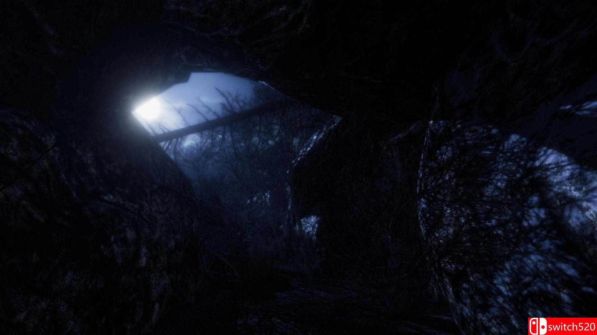 《遗忘之地（The Forgotten）》官方中文 TiNYiSO镜像版[CN/EN]_3