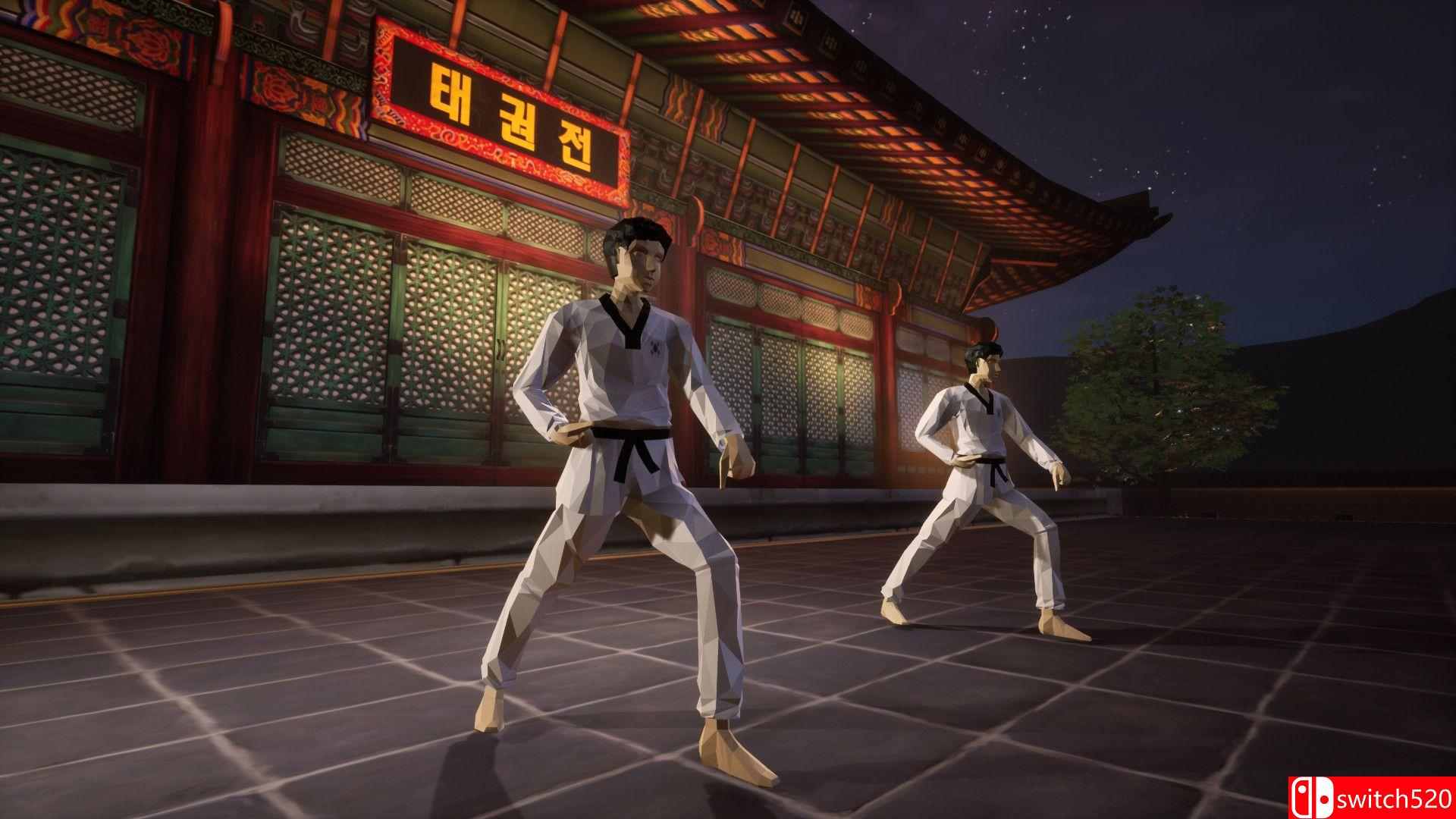 《跆拳道虚拟示范团（Taekwondo Demonstration Team Simulator）》TiNYiSO镜像版[CN/EN]_5