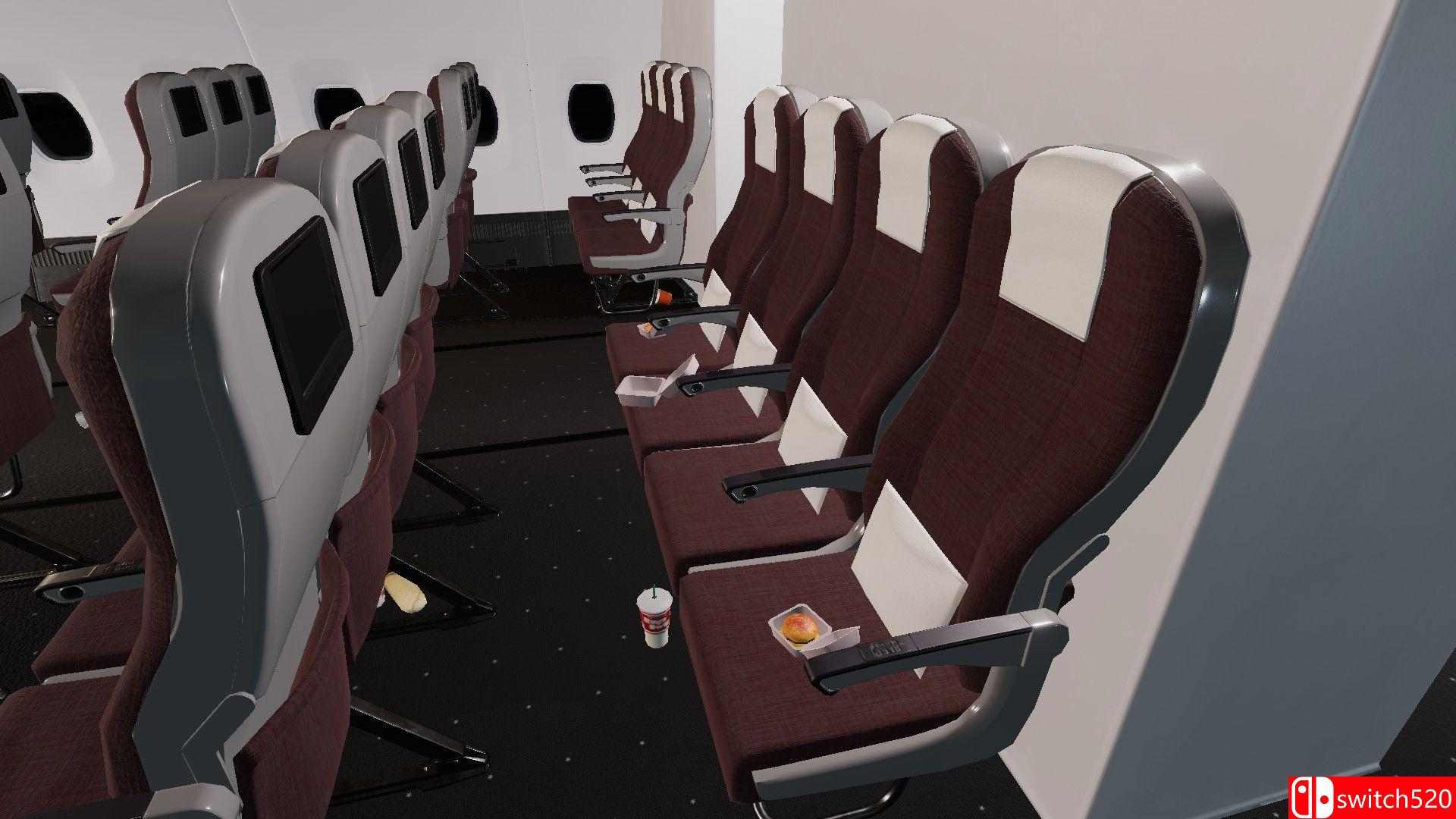 《机场模拟3：日复一日（Airport Simulator 3: Day & Night）》SKIDROW镜像版[EN]_3