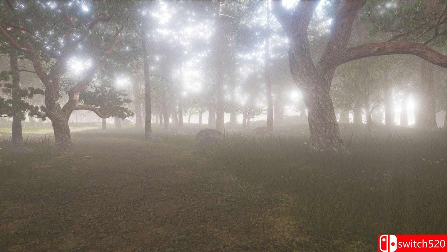 《ZendoVR（ZendoVR）》TiNYiSO镜像版[EN]_3