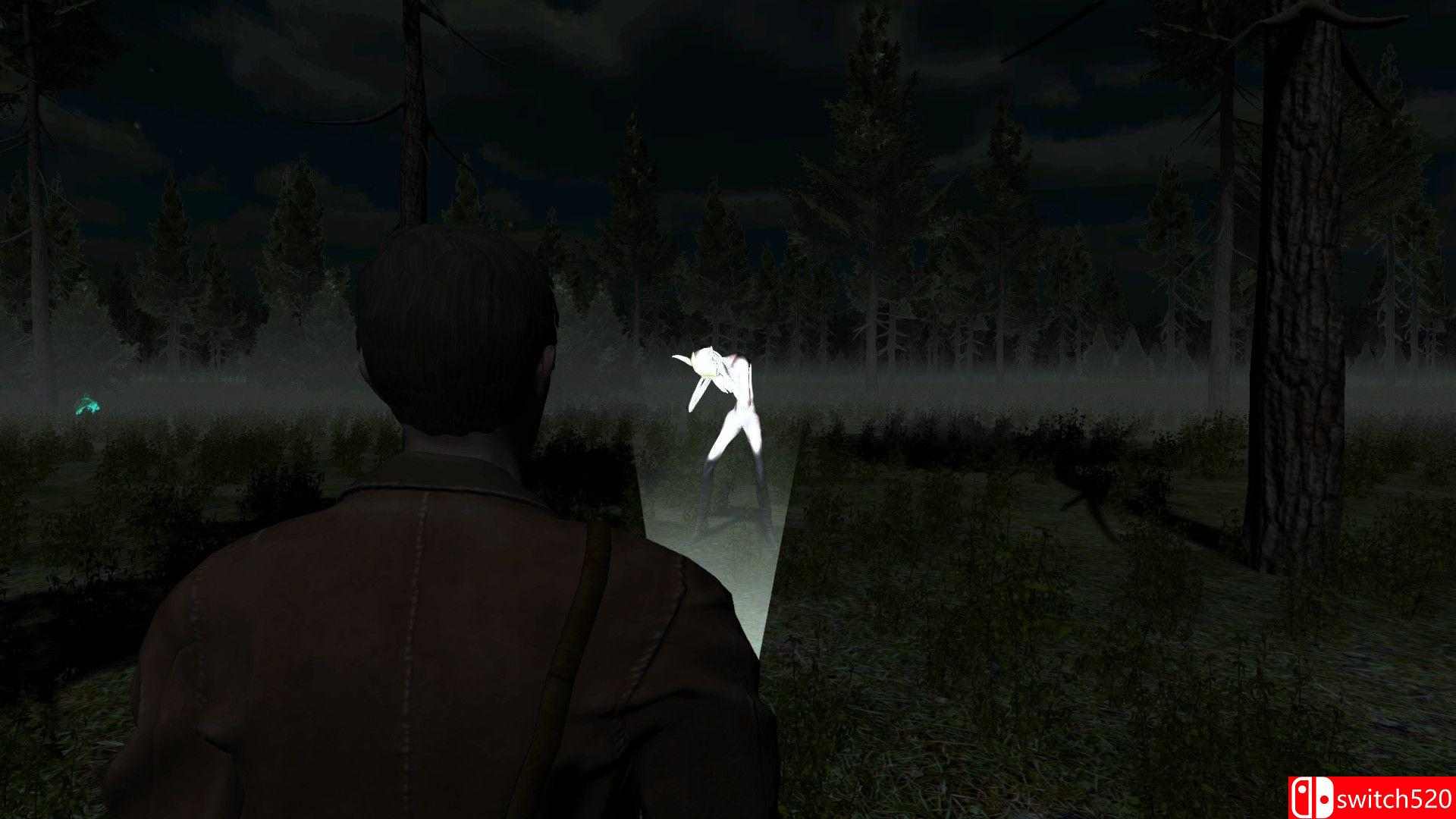 《森林里的恶魔（The Evil in the Forest）》DARKSiDERS镜像版[EN]_4