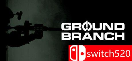 《地面部队（GROUND BRANCH）》v04.04.2021 P2P硬盘版[EN]