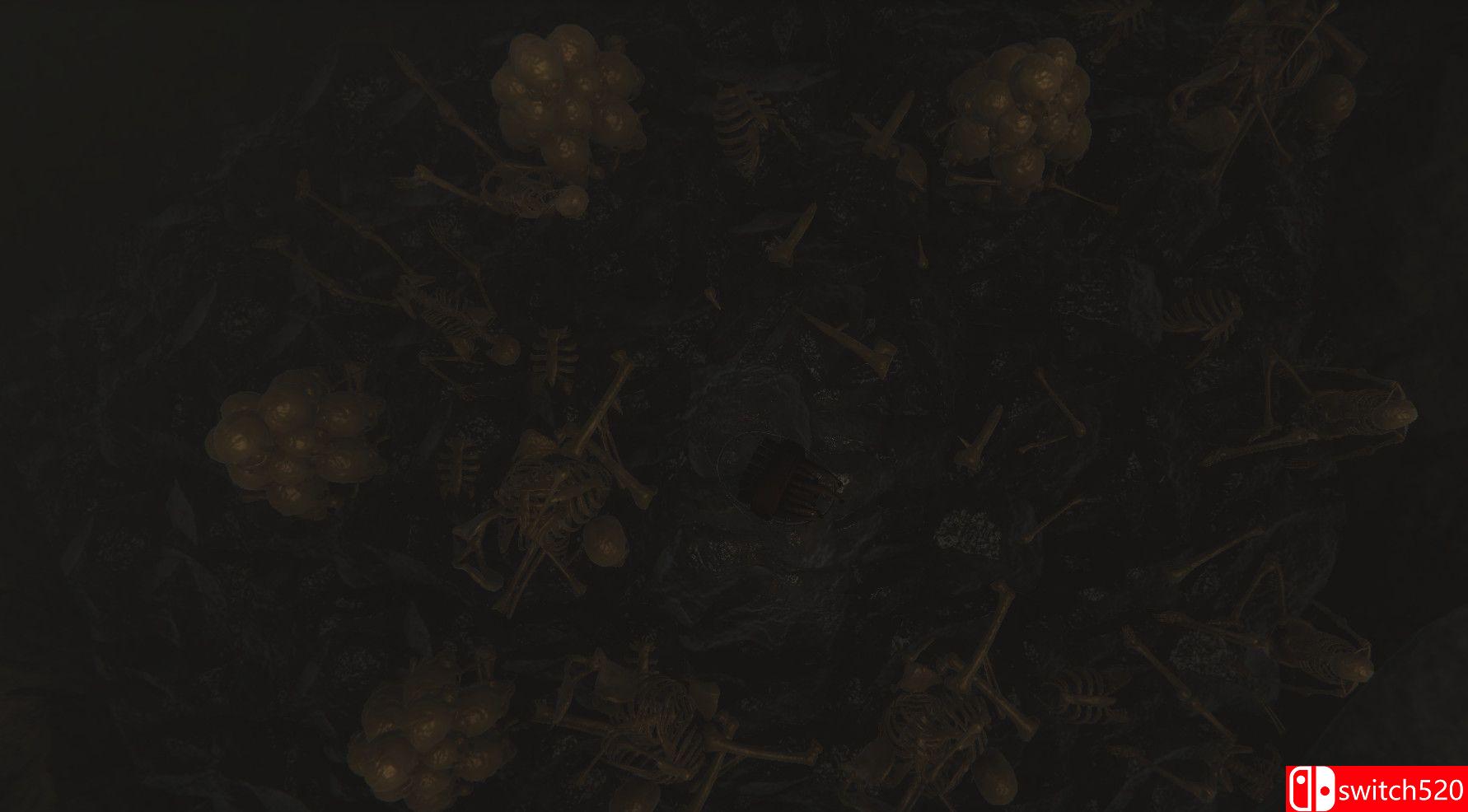 《燃烧的灰烬（BURNT ASHES）》TiNYiSO镜像版[EN]_5