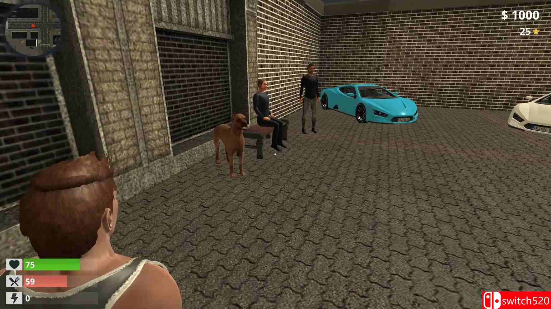 《说唱歌手的生活模拟（Rapper Life Simulation）》v10.05.2021 Haoose硬盘版[EN]_5