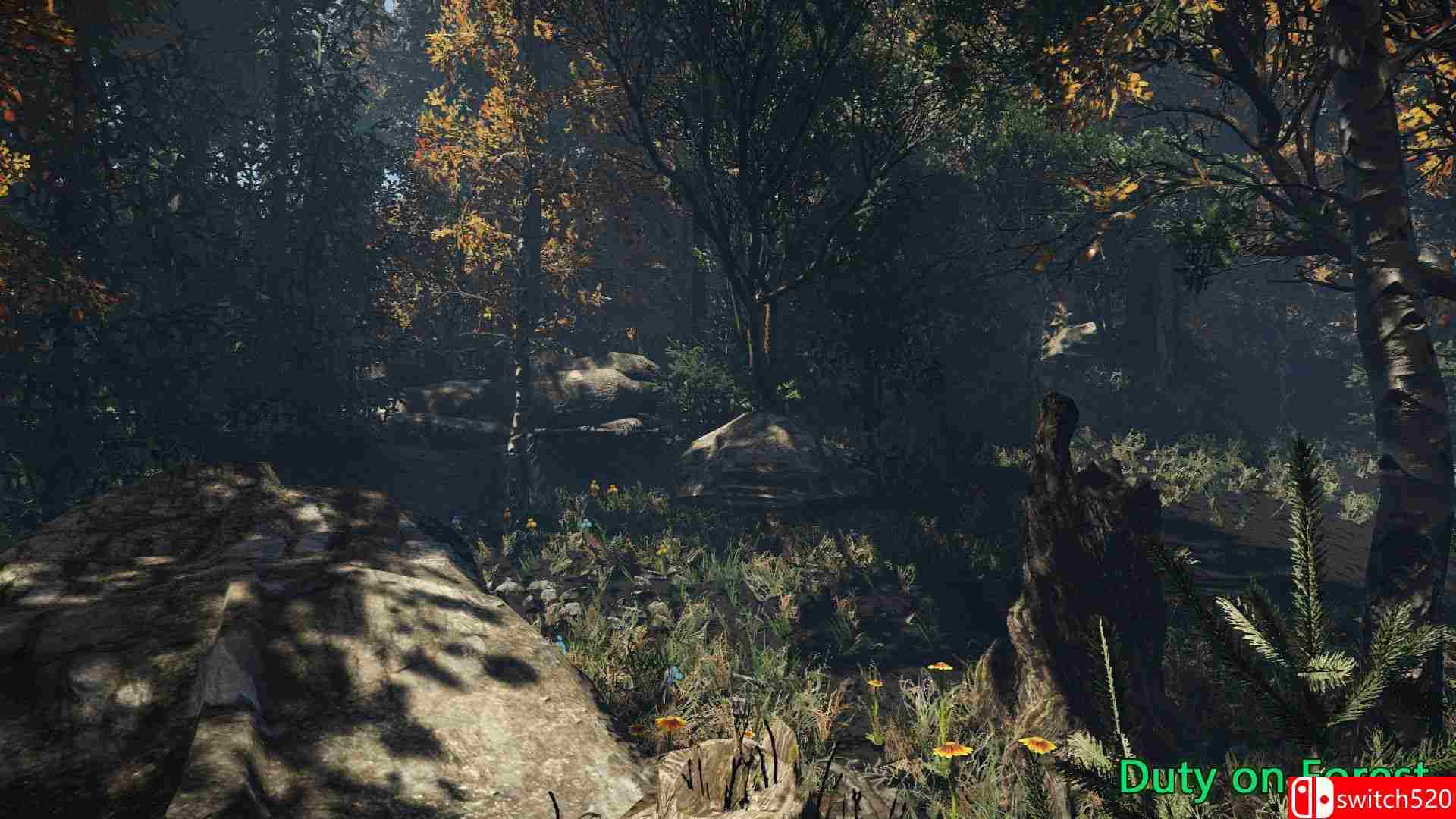 《森林责任（Duty on Forest）》v16.05.2021 Haoose硬盘版[EN]_5