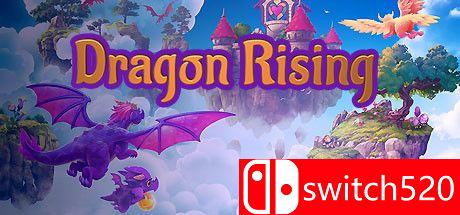 《龙的崛起（Dragon Rising）》官方中文 DARKZER0硬盘版[CN/EN]