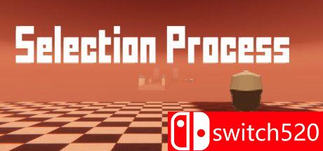 《选择过程（Selection Process）》DARKZER0硬盘版[EN]