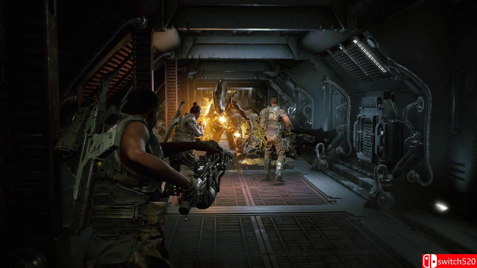 《异形：火力小队（Aliens: Fireteam Elite）》集成Pathogen扩展包DLC FLT镜像版[CN/TW/EN]_2