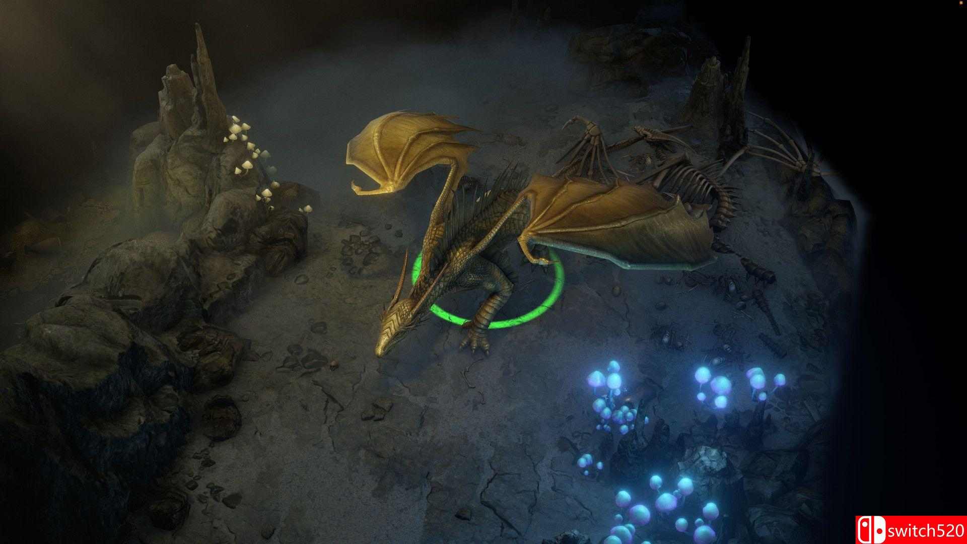 《开拓者：正义之怒（Pathfinder: Wrath of the Righteous）》官方中文 增强版 FLT镜像版[CN/EN]_2