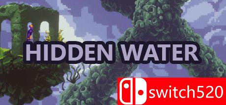 《隐藏的水（Hidden Water）》官方中文 DARKZER0硬盘版[CN/TW/EN/JP]