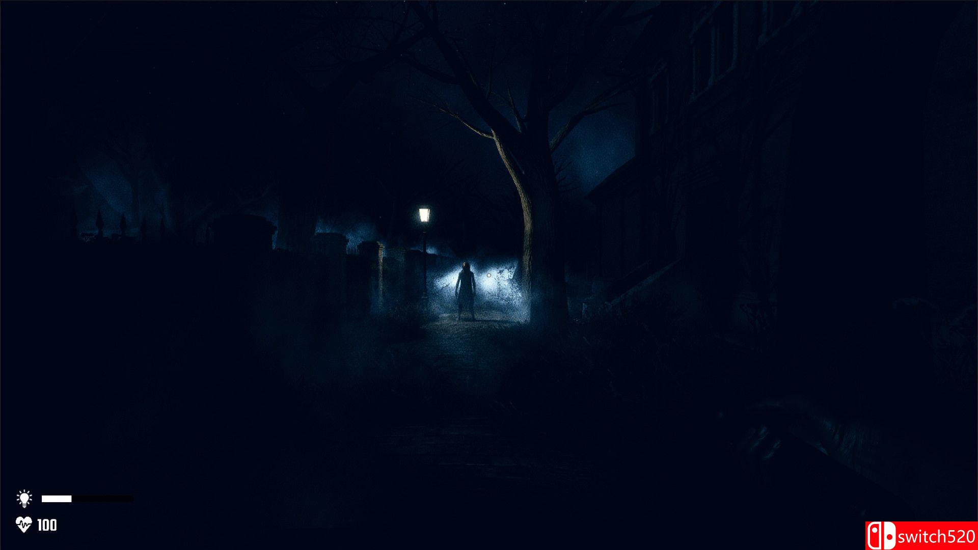《精神病院：邪恶之子（Mental Hospital - Child of Evil）》PLAZA镜像版[EN]_2