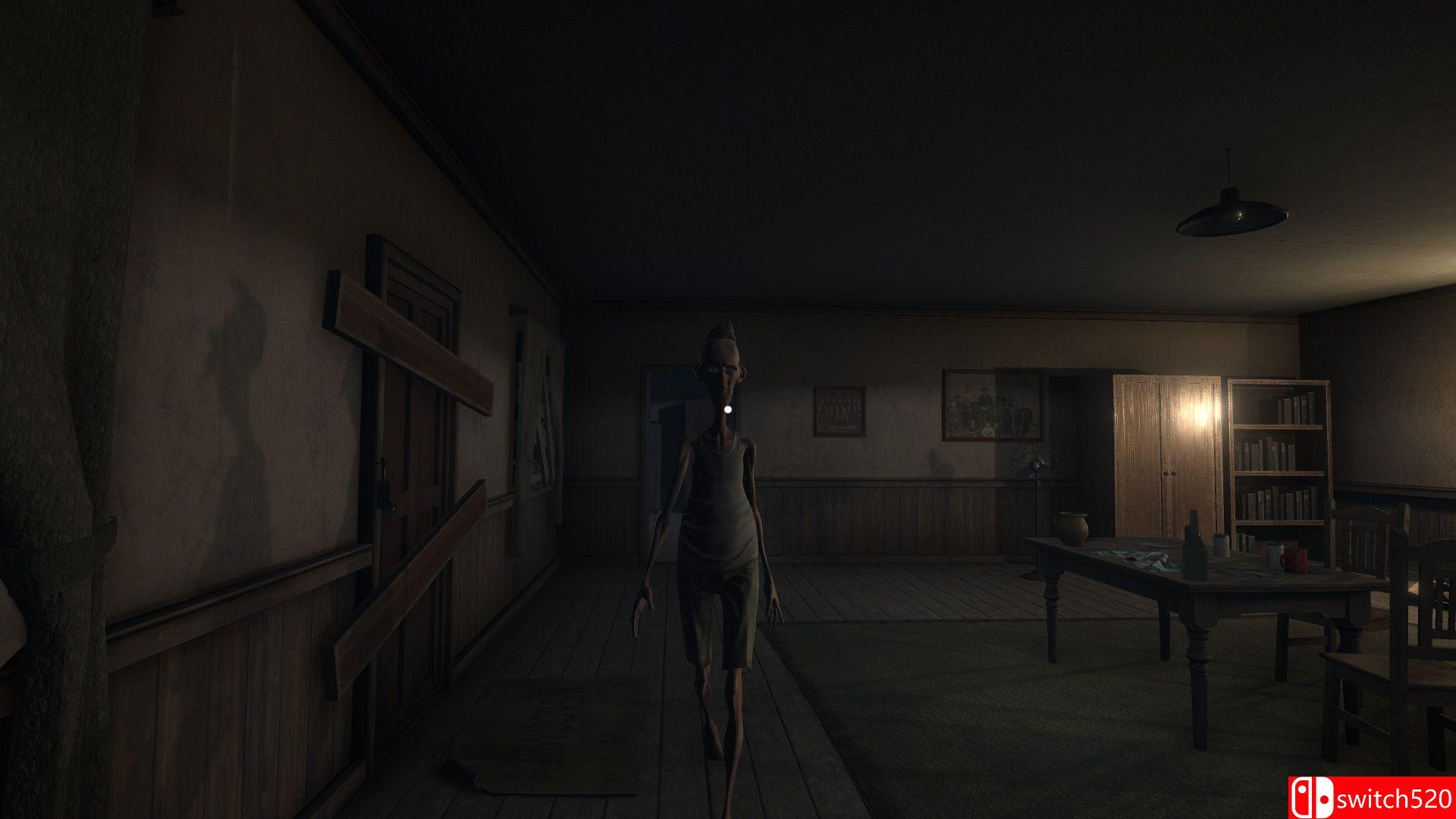 《它跟着你（It follows you）》TiNYiSO镜像版[EN]_4