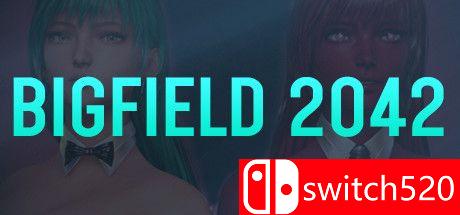 《大地2042（Bigfield 2042）》DARKSiDERS镜像版[EN]