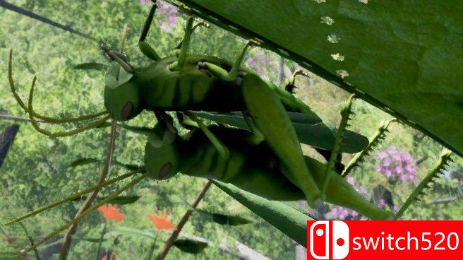 《自然与生命：醉心花蜜（Nature And Life - Drunk On Nectar）》v0.4.3 P2P硬盘版[EN]_4
