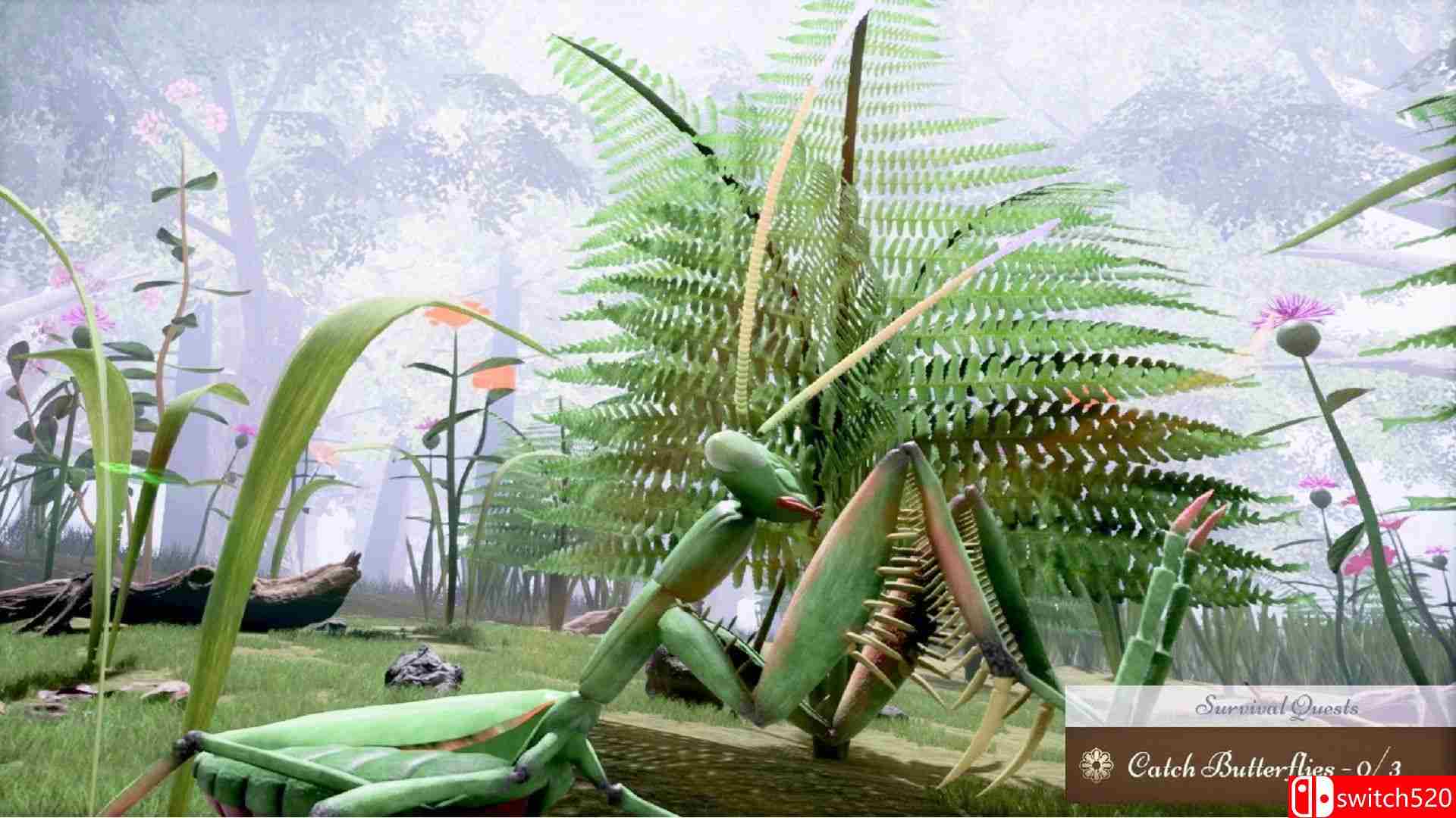《自然与生命：醉心花蜜（Nature And Life - Drunk On Nectar）》v0.4.3 P2P硬盘版[EN]_2
