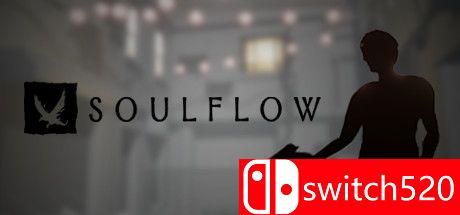 《灵魂之流（Soulflow）》DARKZER0硬盘版[EN]