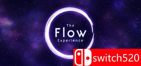 《流动体验（The Flow Experience）》DARKZER0硬盘版[EN]