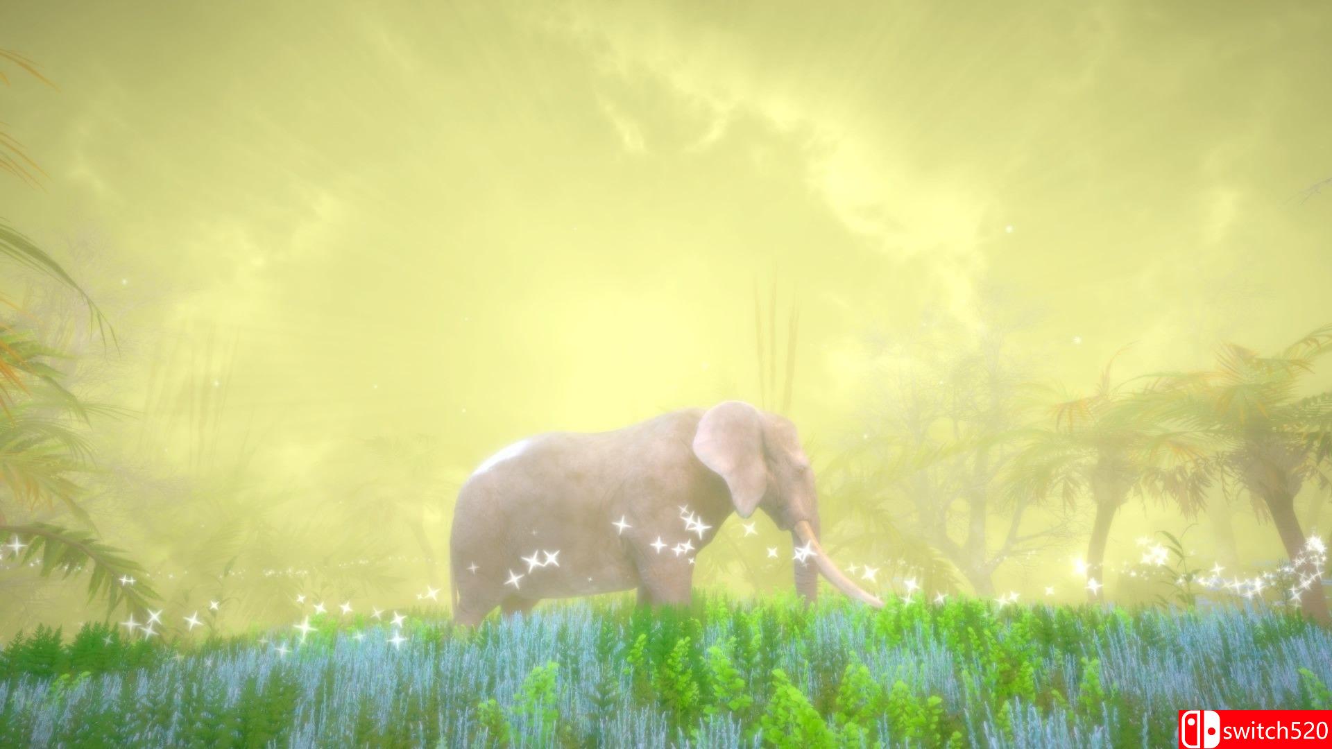 《梦幻森林中的隐藏宝藏（Hidden Treasures in the Forest of Dreams）》TiNYiSO镜像版[EN]_4