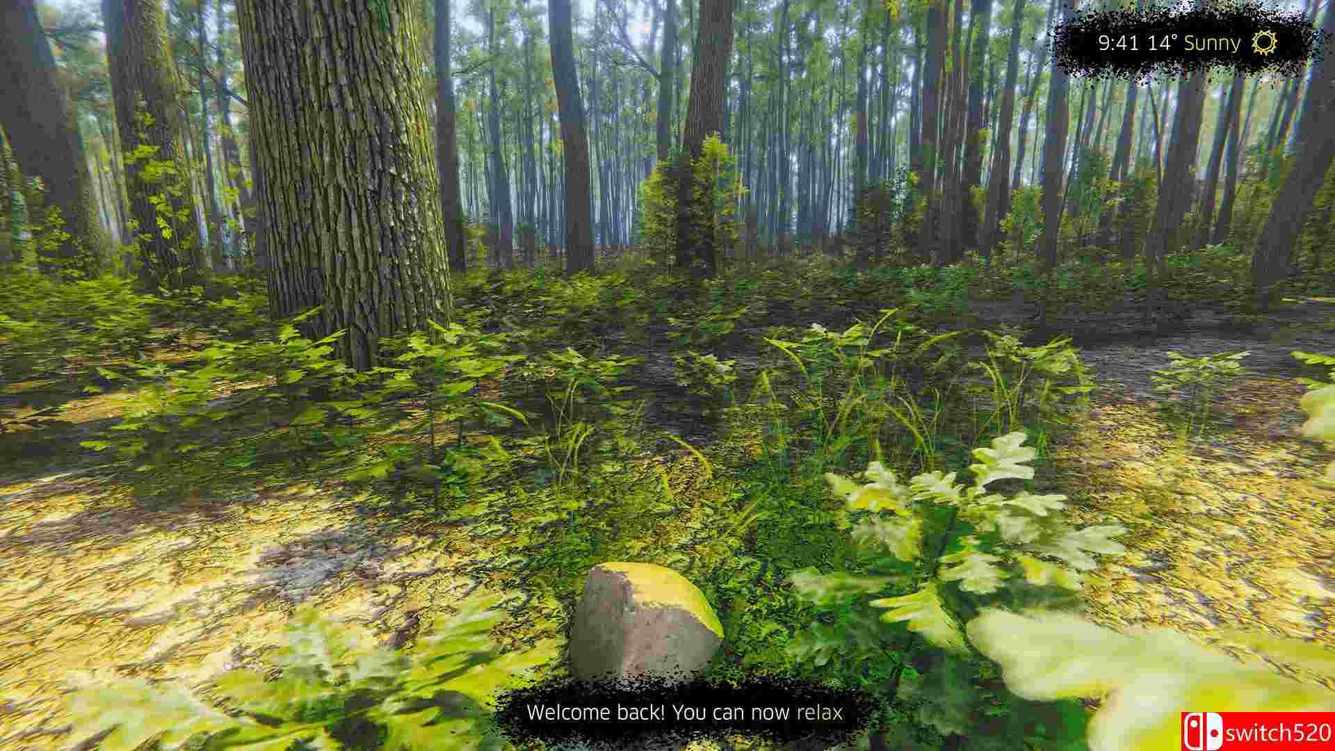 《正念模拟器：ASMR冥想游戏（Mindfulness Sim ASMR Meditation）》TiNYiSO镜像版[CN/EN]_1