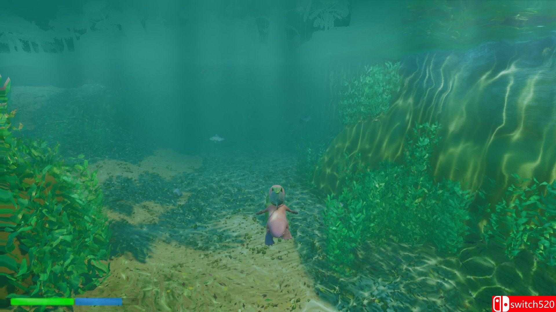 《鸭嘴兽历险记（Platypus Adventures）》DARKSiDERS镜像版[EN]_1