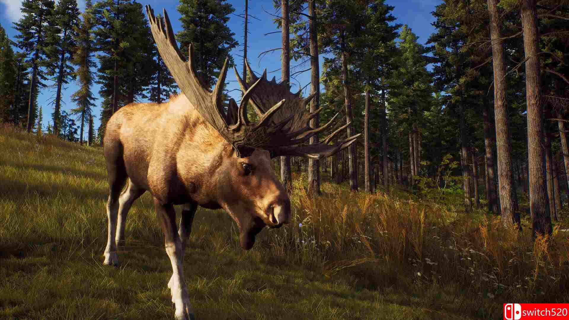《狩猎之道（Way of the Hunter）》官方中文 v1.20 Razor1911镜像版[CN/TW/EN/JP]_1