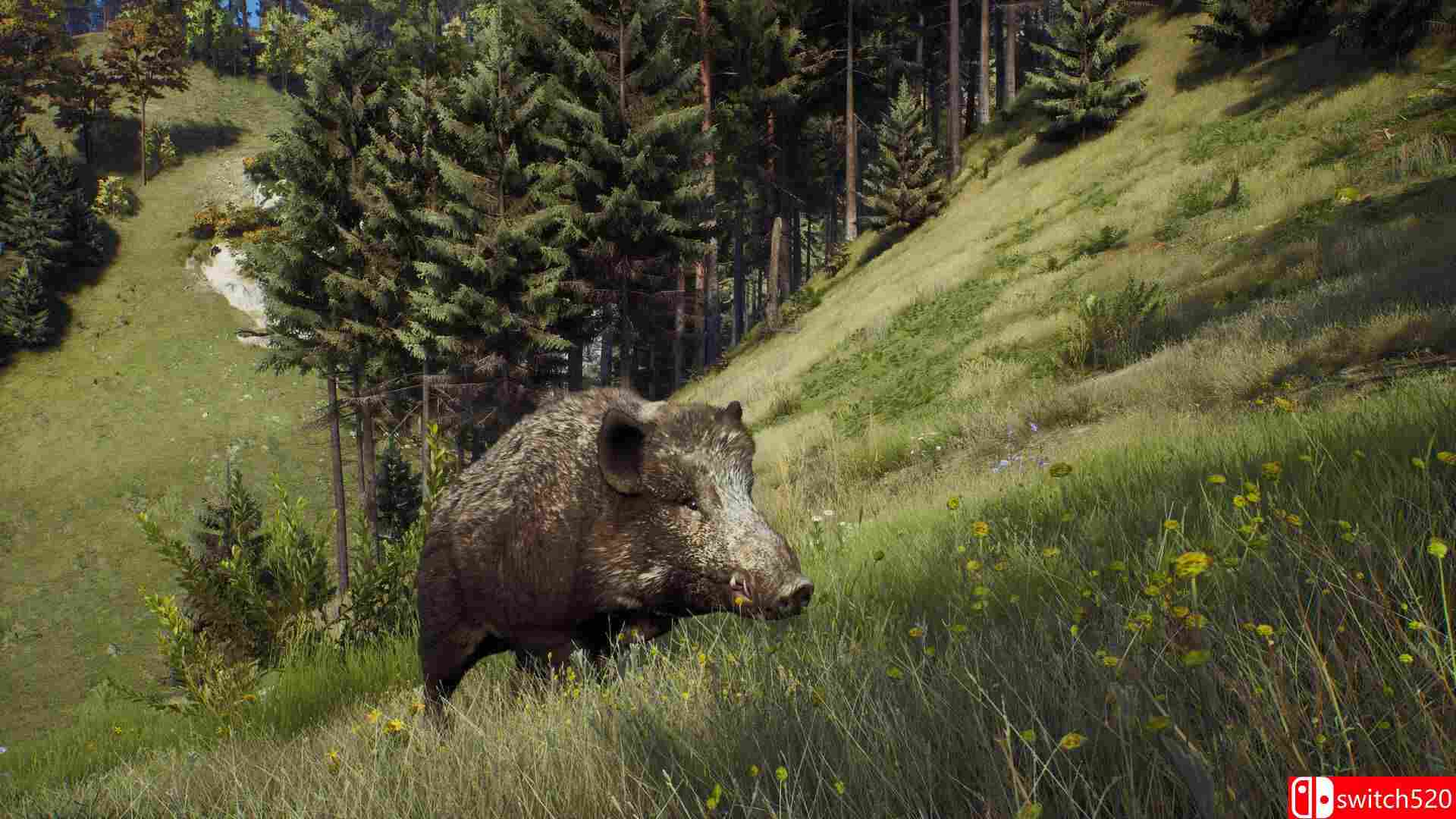 《狩猎之道（Way of the Hunter）》官方中文 v1.20 Razor1911镜像版[CN/TW/EN/JP]_4