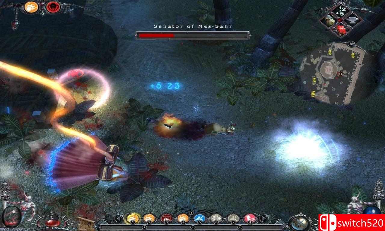 《魔法黎明2（Dawn Of Magic 2）》FCKDRM镜像版[EN]_1