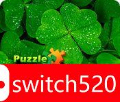 《益智假期：爱尔兰（Puzzle Vacations: Ireland）》RAZOR硬盘版[EN]